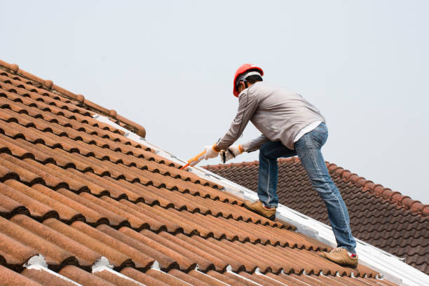 Best Gutter Installation and Repair  in Pleasant Valley, WV