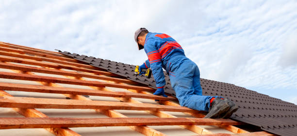 Best Skylight Installation and Repair  in Pleasant Valley, WV